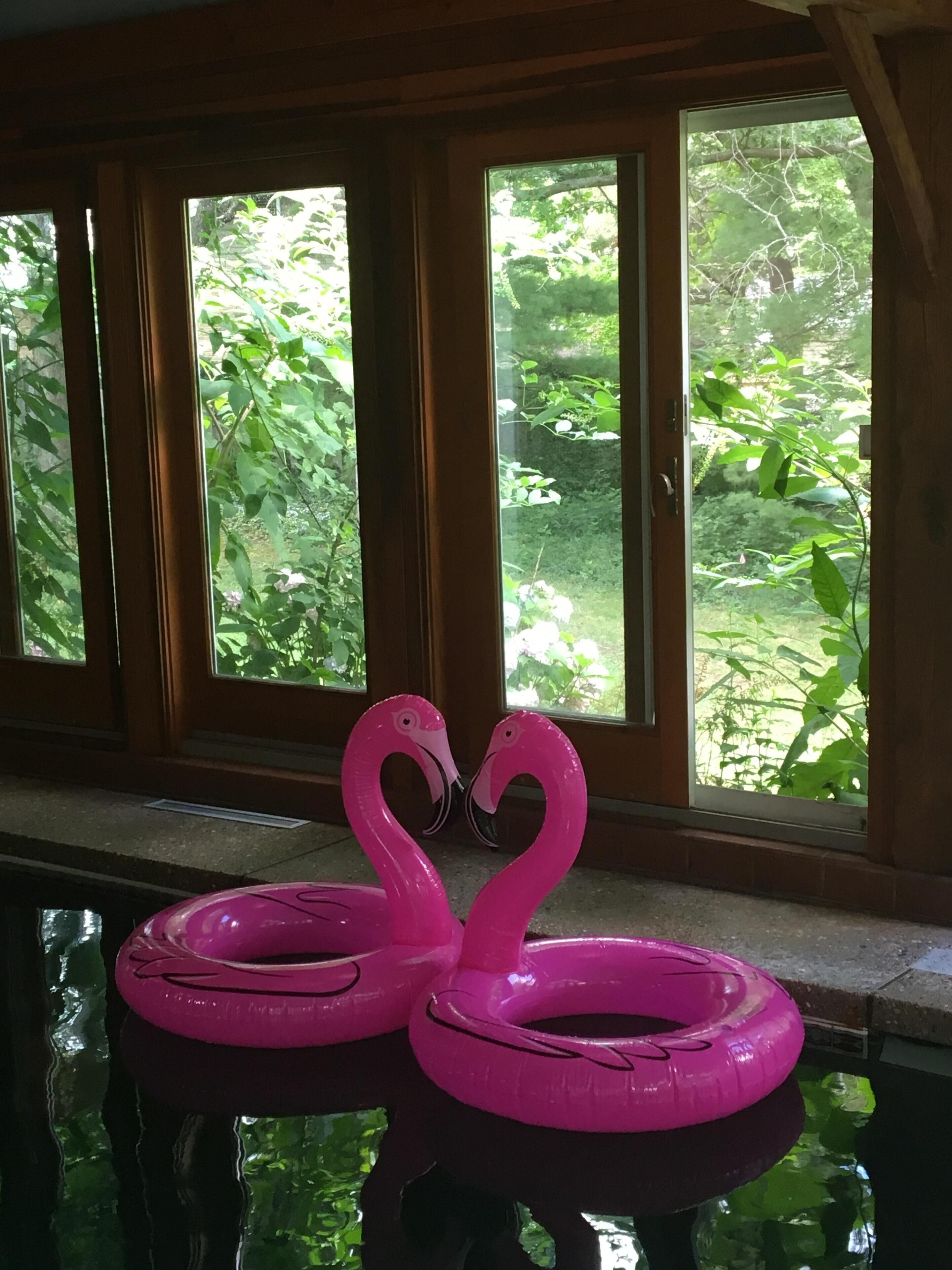 Private indoor pool suite, Mature fruit trees, Lots of fun floats and pool games