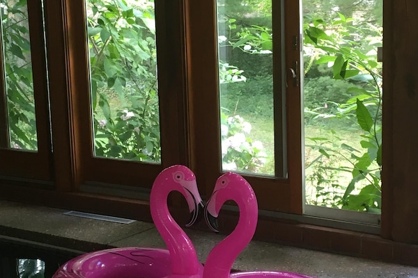 Private indoor pool suite, Mature fruit trees, Lots of fun floats and pool games