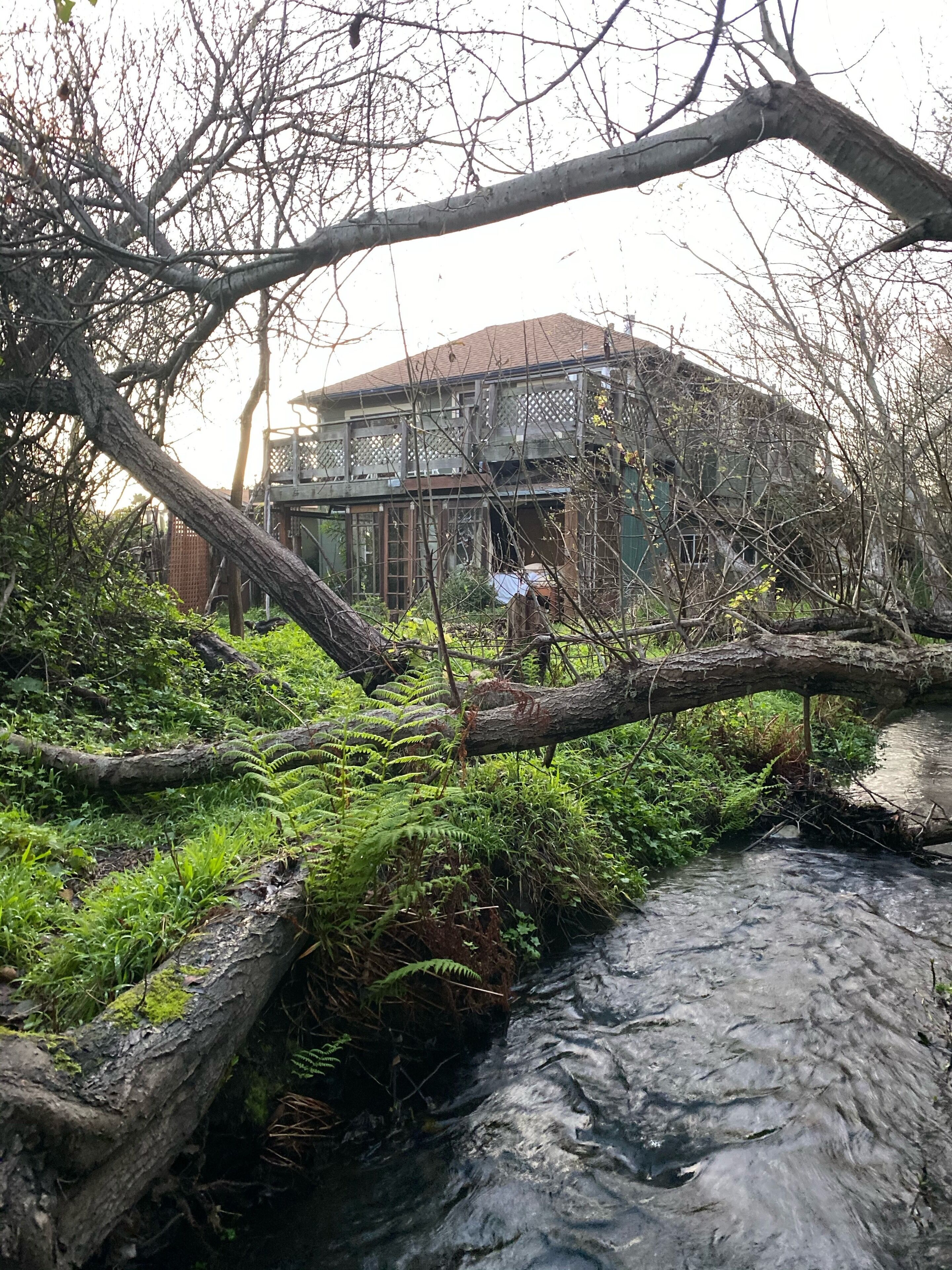 Family Beach House -  Reunions, Retreats & Small Events, Creekside Stinson Beach