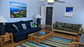 Smart TV, DVD player, books