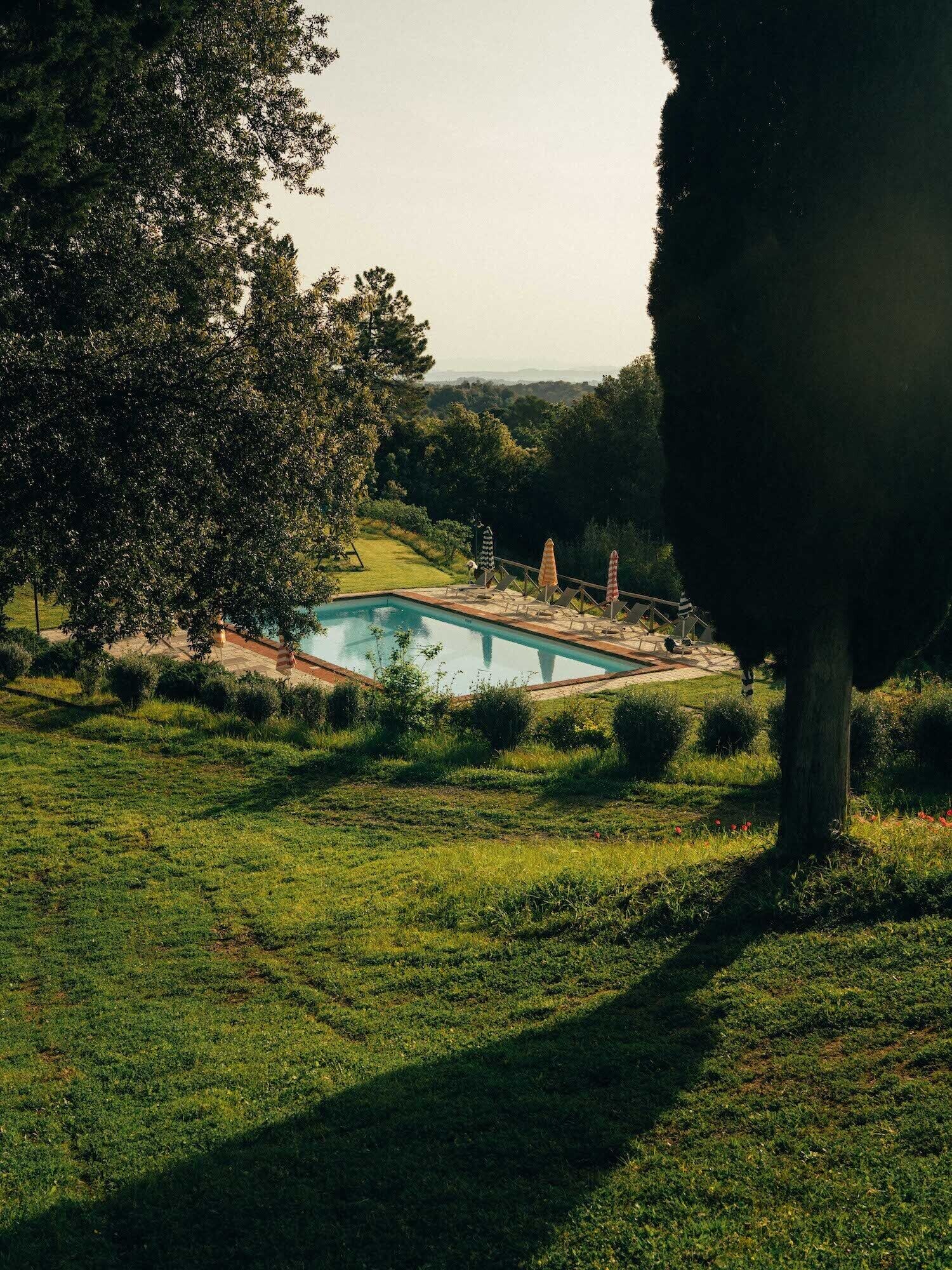 Una piscina rectangular rodeada de césped cuidado y árboles, con una vista despejada del paisaje al fondo.