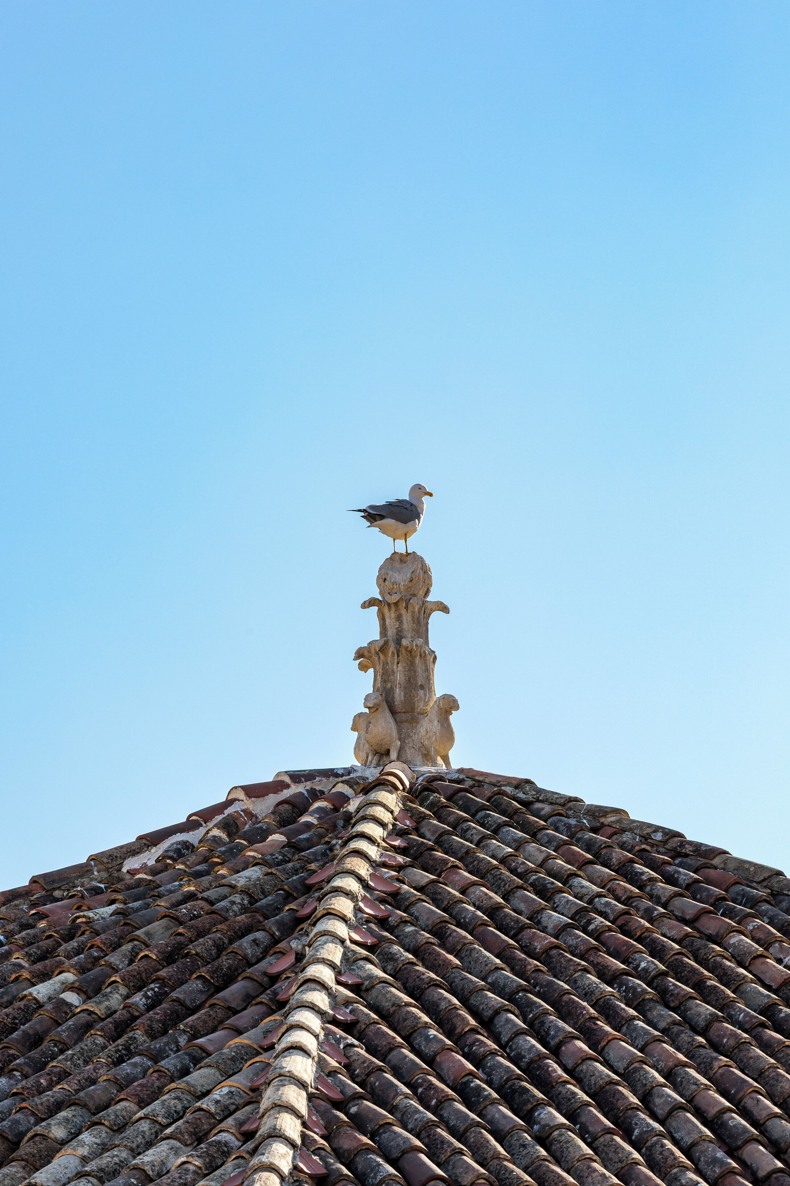 Un pájaro posado sobre una estructura de piedra en la parte superior de un tejado de baldosas.