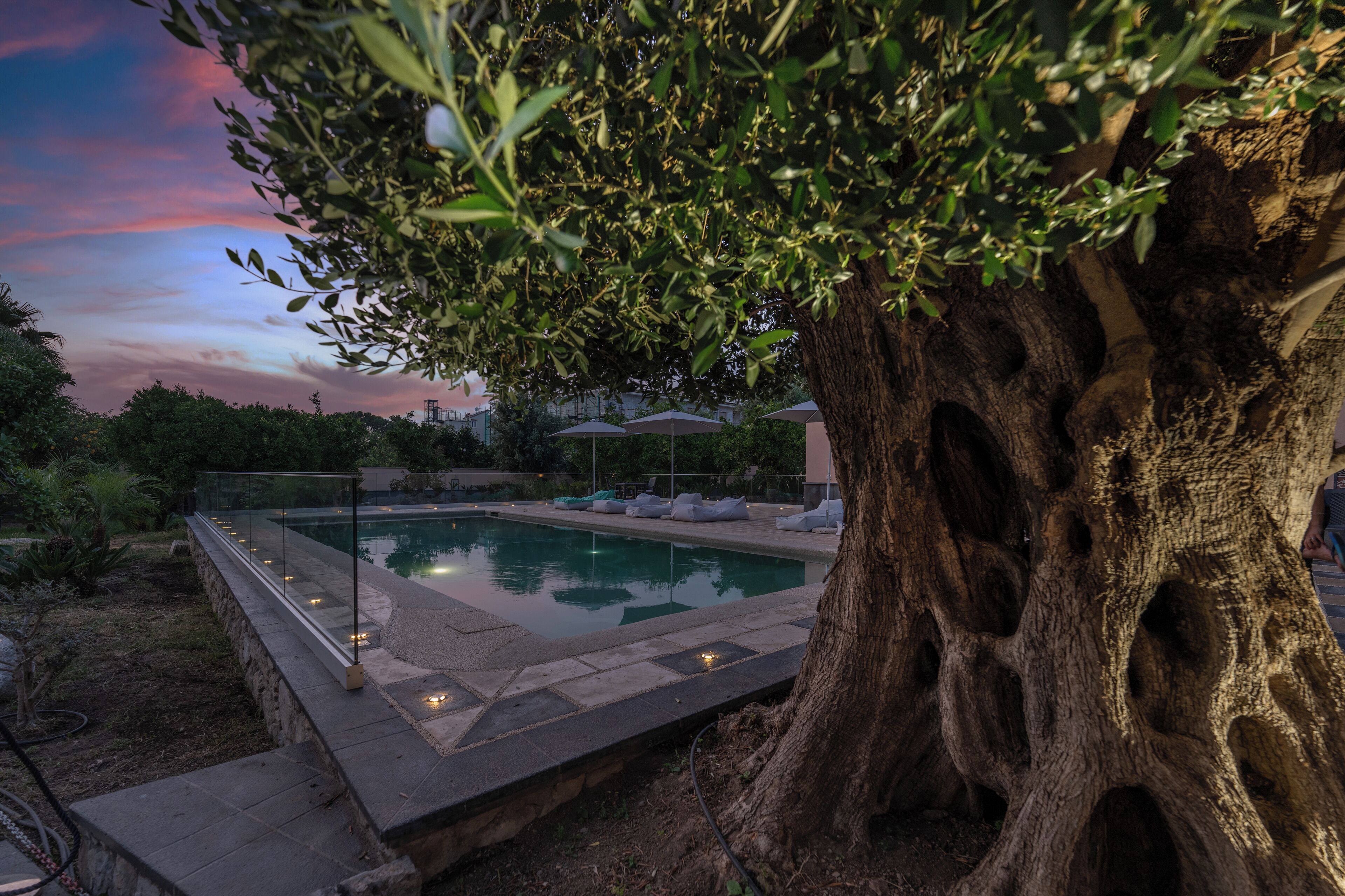 Garden view