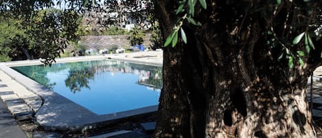 Seasonal outdoor pool, pool loungers