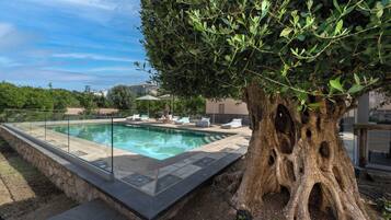 A swimming pool with a glass barrier, surrounded by lounge chairs and a large tree.