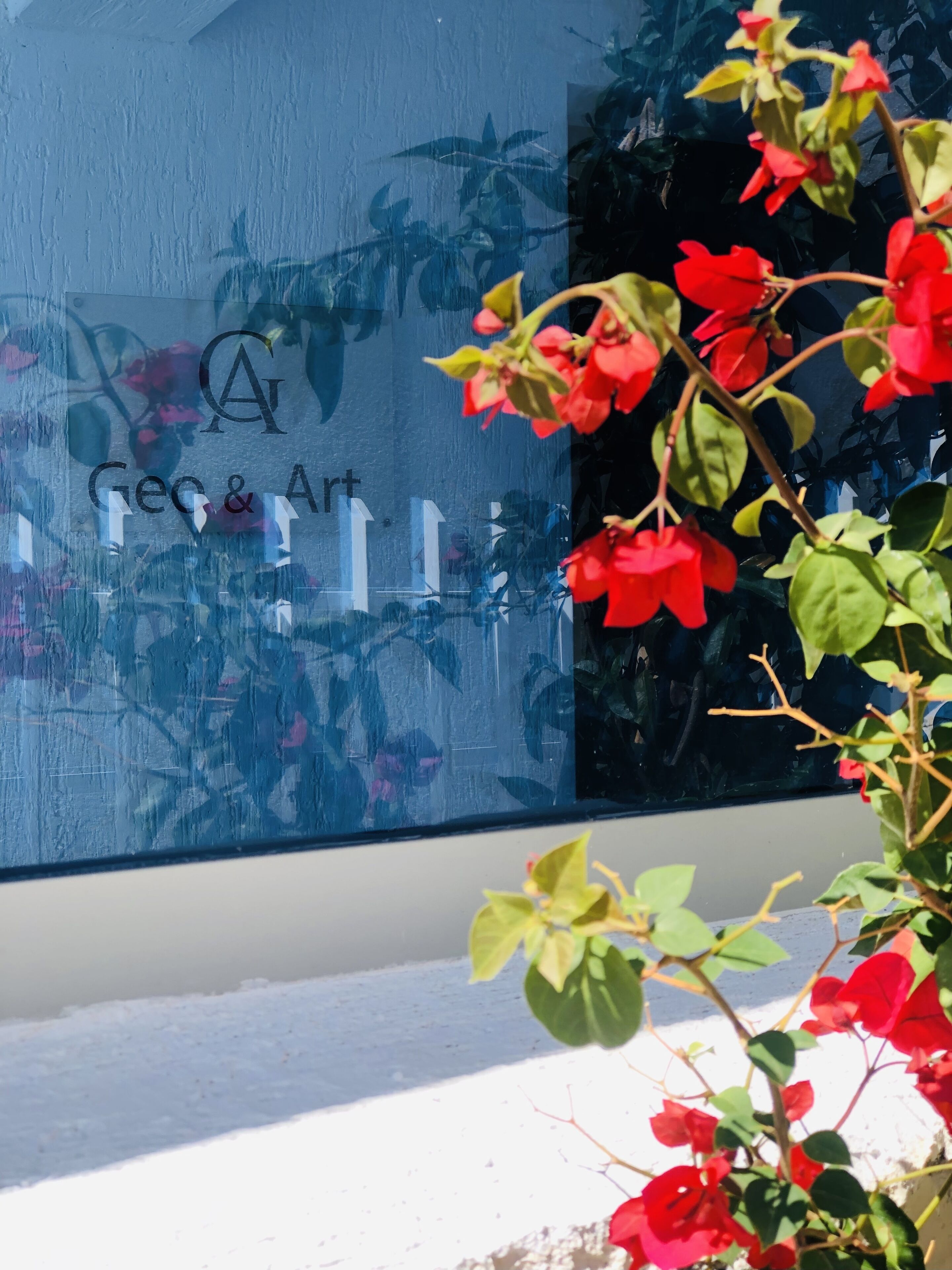 A window with a reflection of a building and a plant with red flowers.