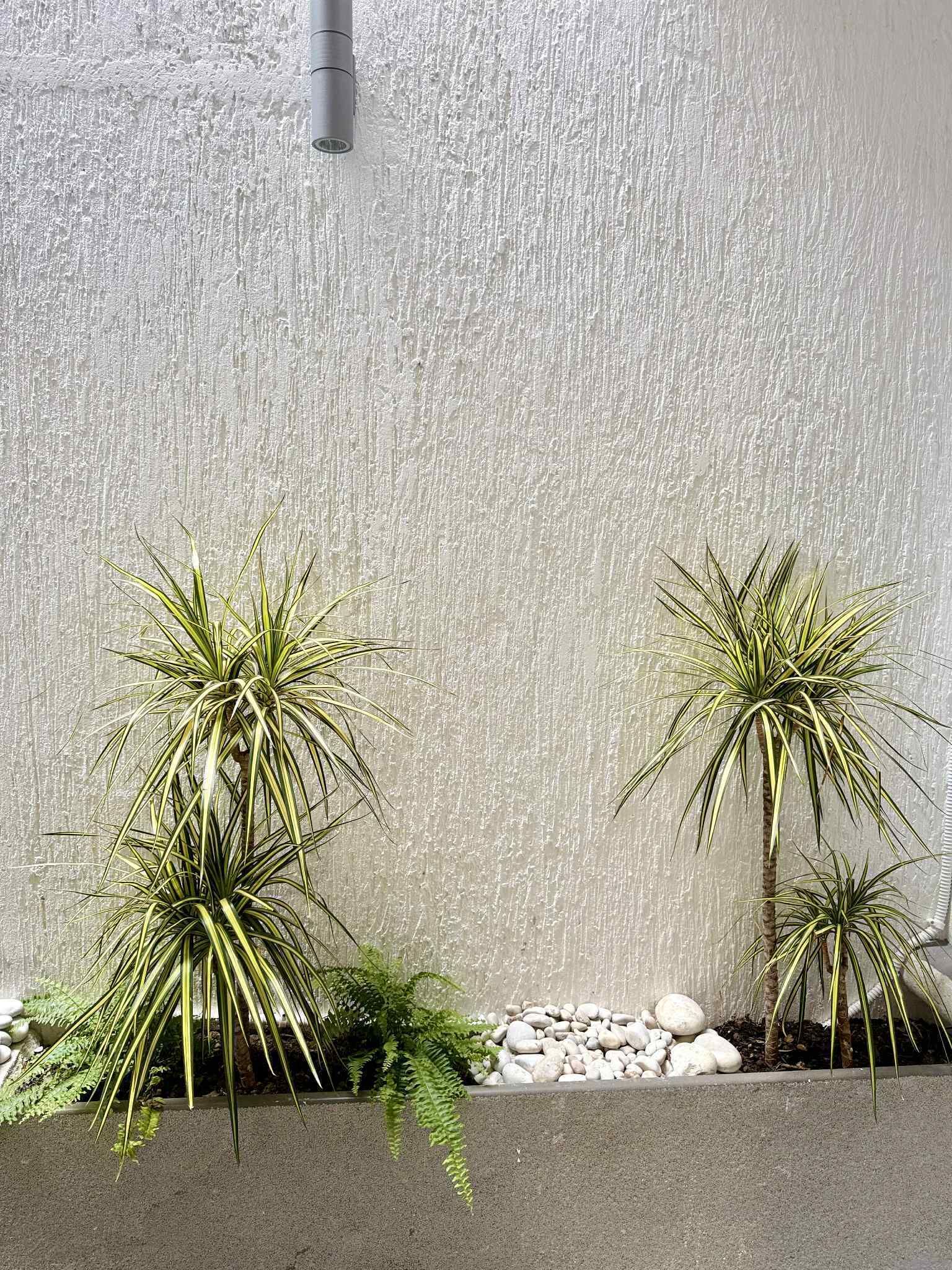 A concrete wall with a textured surface and a small plant arrangement at the bottom.