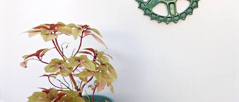 Une plante en pot, avec des tiges rouges et des feuilles jaunes, est placée dans un pot de couleur turquoise sur un sol carrelé, adossée à un mur blanc orné d’une décoration en métal vert en forme de roue.
