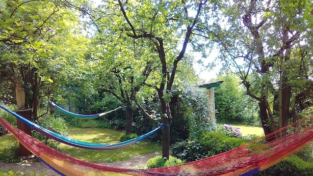 A hammock in a lush garden with trees and greenery. - Gästehaus und Cafe - Lichthof (Gaedheim)