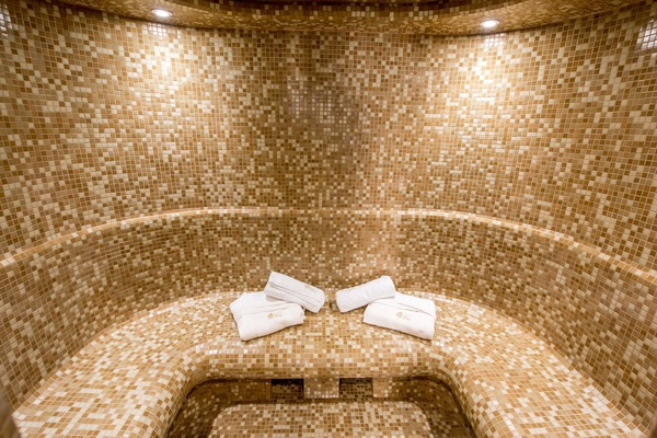 Sauna, hot tub, steam room