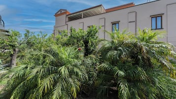 Facciata della struttura