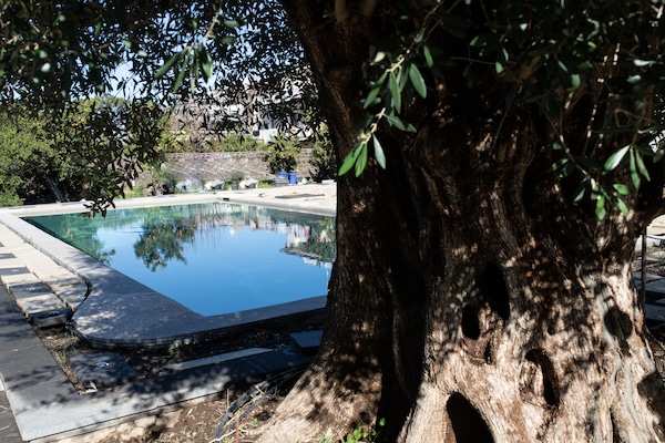 Kolam renang terbuka bermusim