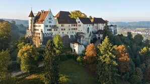 A large castle-like building surrounded by trees and a clear sky. - perfect lifestyle Design Boutique & Private SPA (Gebenstorf)