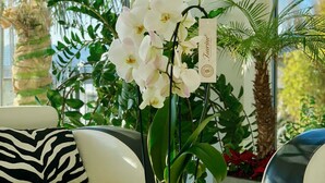 A white orchid in a clear glass vase on a white pedestal, placed on a glass table in a room with a white sofa and a zebra-patterned pillow. - perfect lifestyle Design Boutique & Private SPA (Gebenstorf)