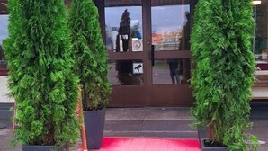 A reception area with a red carpet and potted evergreen trees. - Hotell Wettern (Karlsborg)