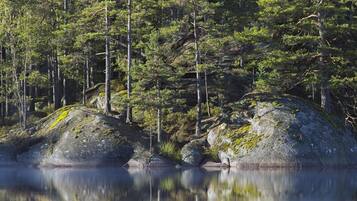 Escena serena junto al lago, con grandes rocas y un bosque denso.
