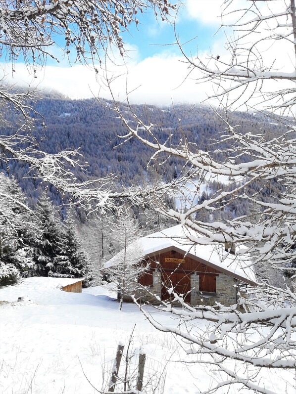 Snowshoeing