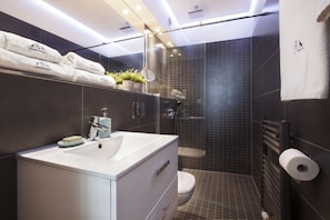 Comfort Apartment, 1 Queen Bed, City View | Bathroom shower