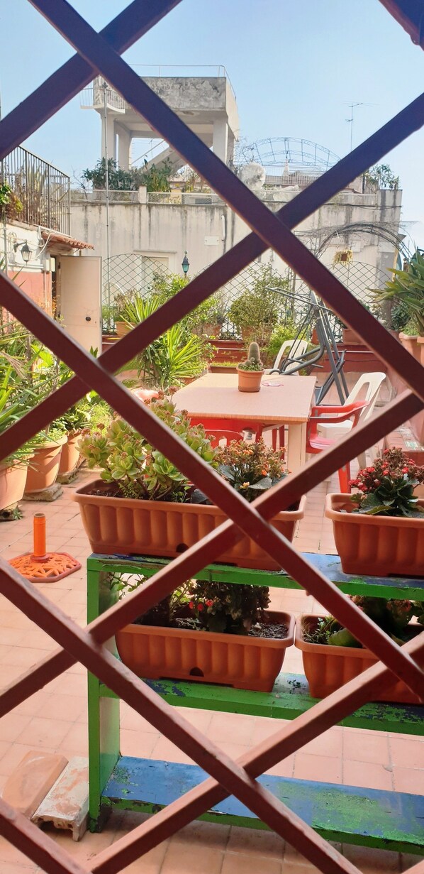 Apartment, 3 Bedrooms, 2 Bathrooms | Terrace/patio - Case Nicotera (Naples)