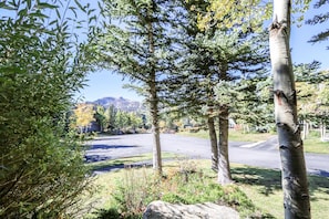 Stroll through a serene neighborhood lined with mature trees and a distant mountain range.