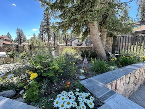 Stroll through a serene garden area surrounded by a stone wall, featuring a variety of flowering plants and a small flag.