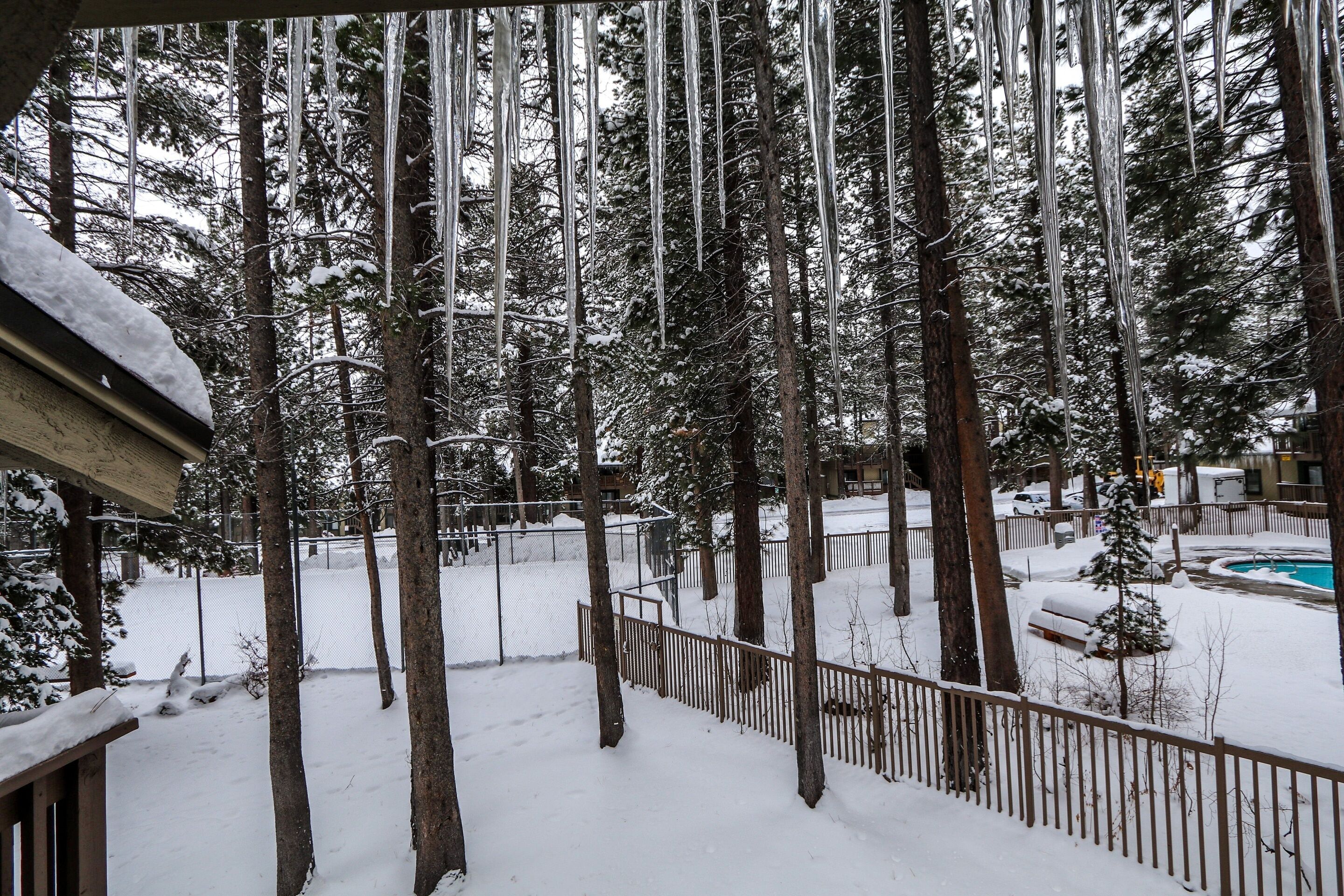 Condo, 1 Bedroom | Property grounds