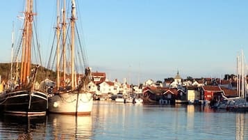 Muelle