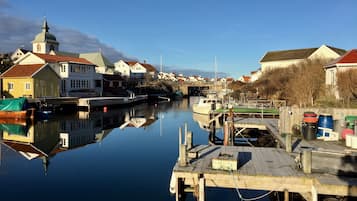 Ponton