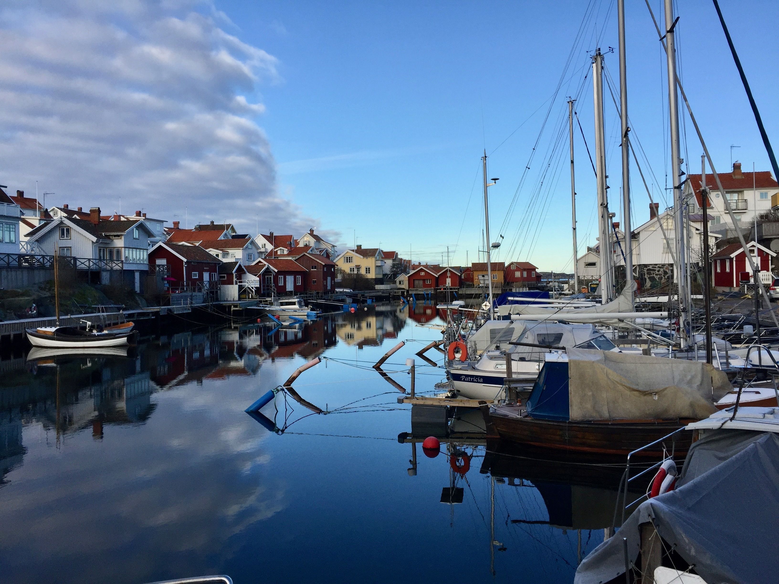 A marina with boats docked, surrounded by colorful houses.