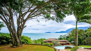 Un paysage tropical avec une piscine, un grand arbre et une vue sur la mer.