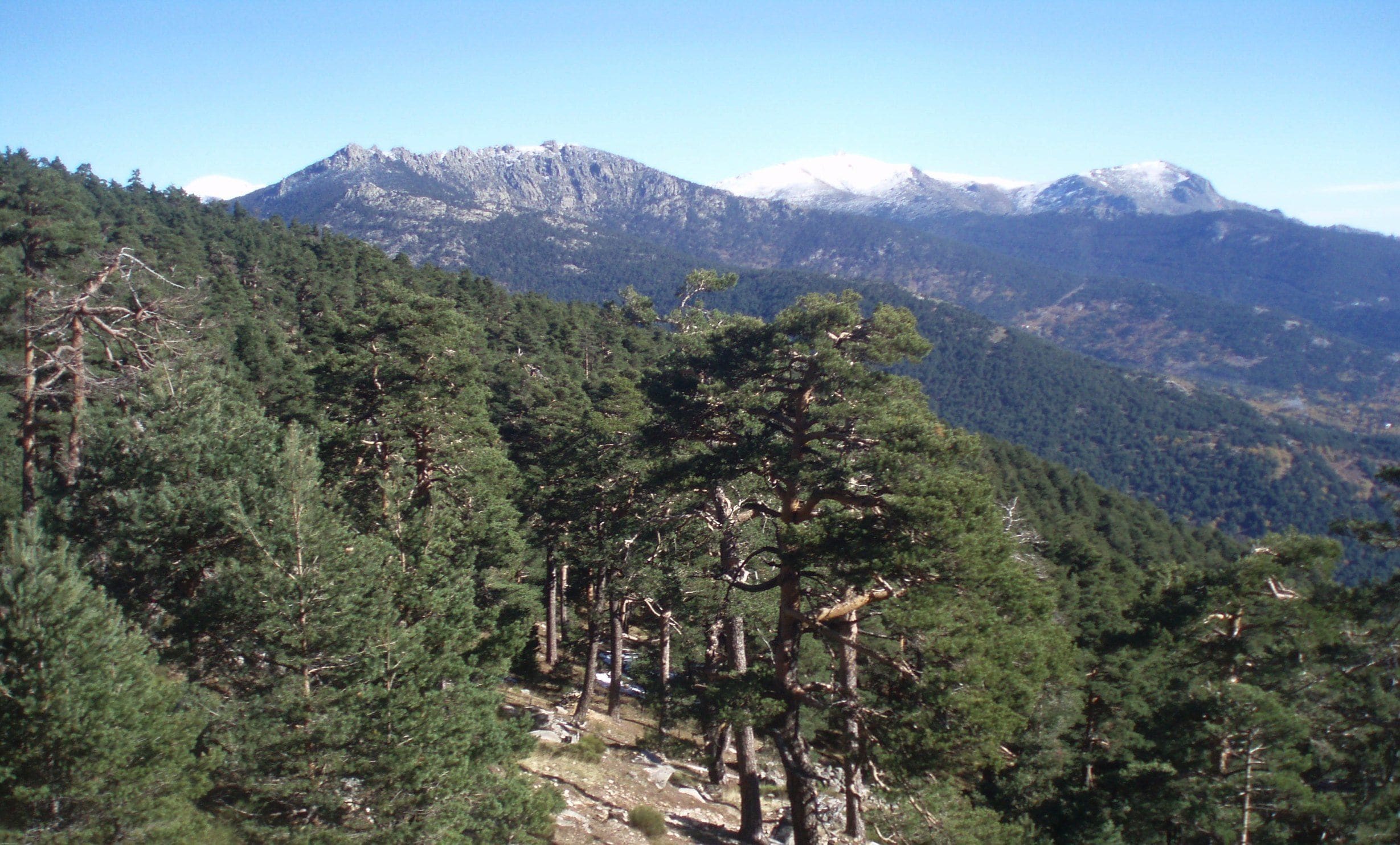 A mountainous landscape with dense forests and a clear sky.