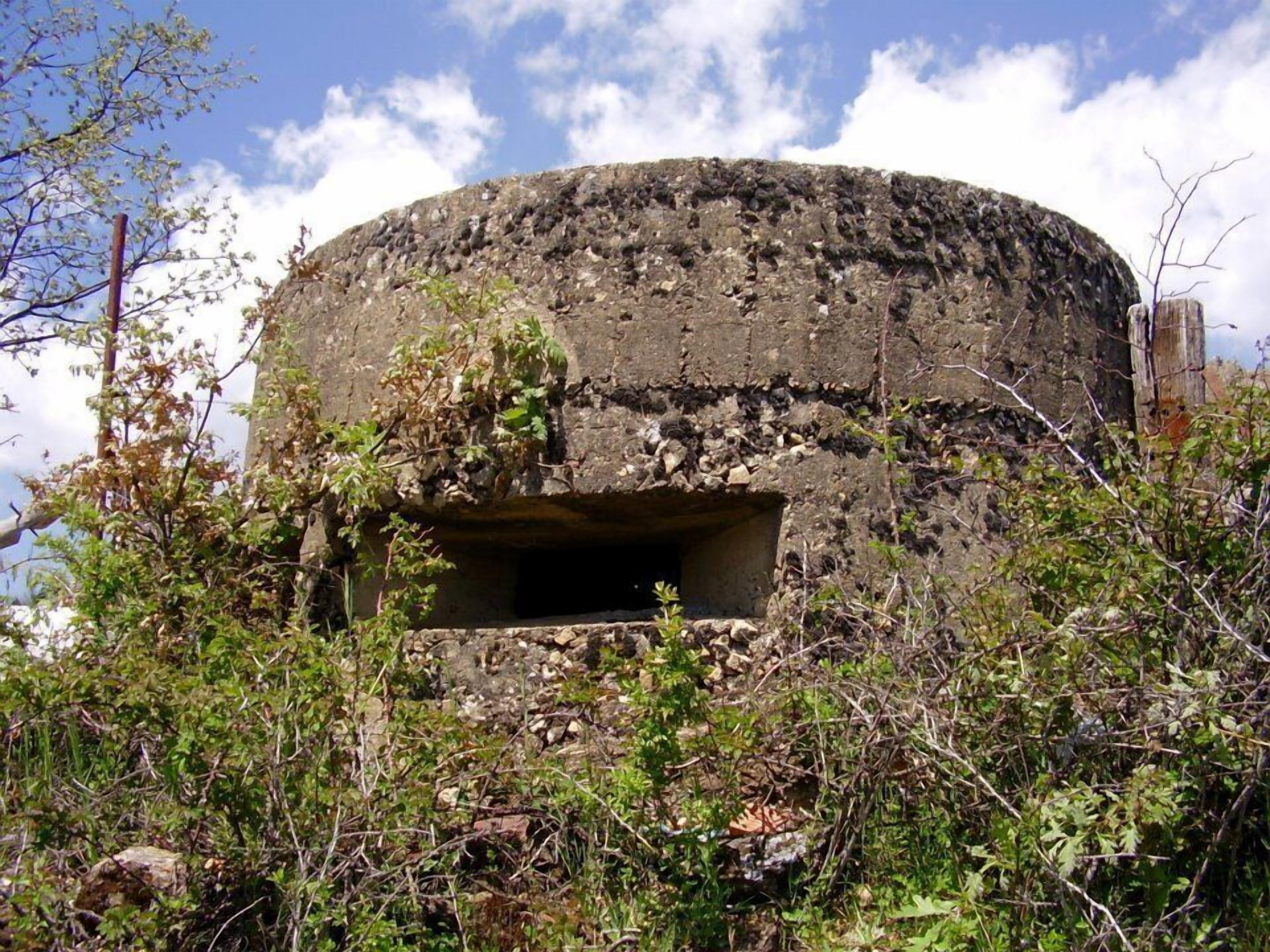 A circular stone structure with a central opening, surrounded by overgrown vegetation.