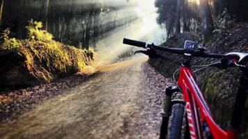 A mountain bike on a dirt path with a forested background.