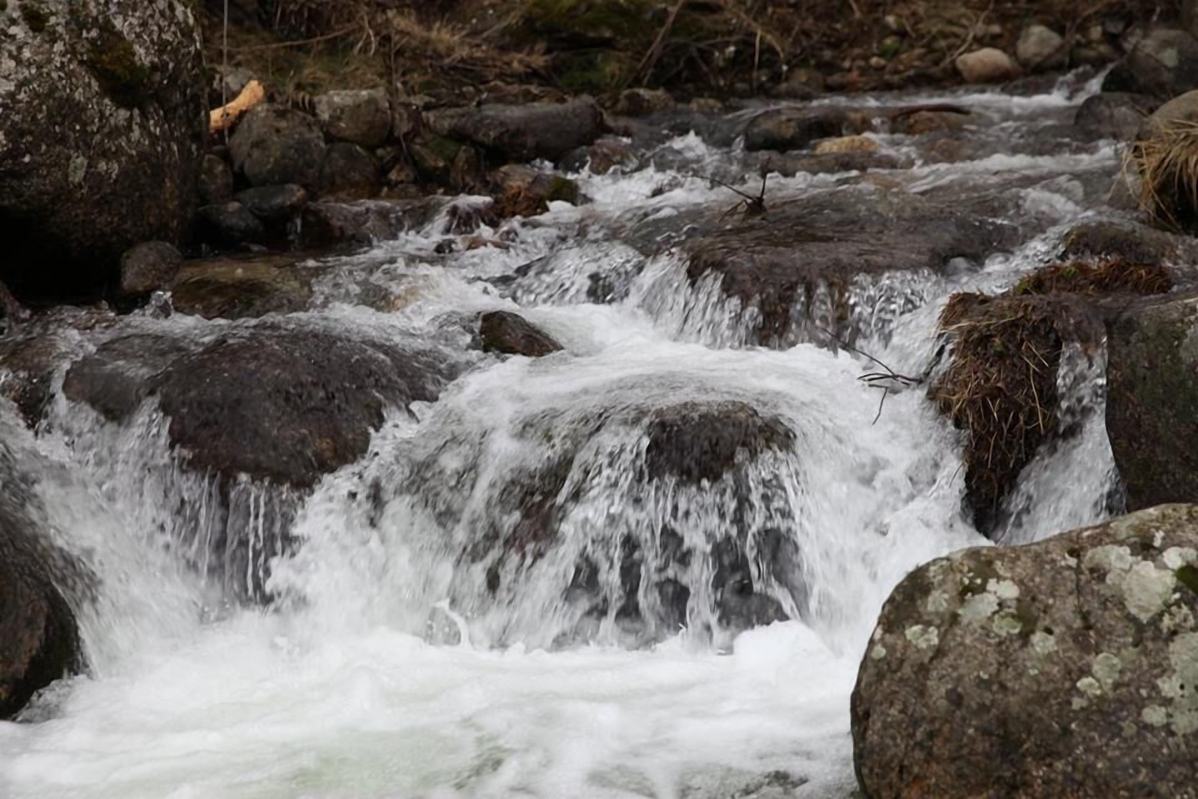 Un arroyo pedregoso con agua corriendo sobre las rocas.