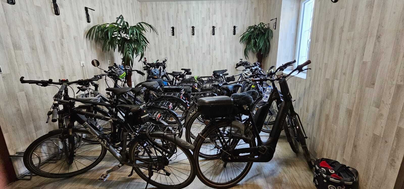A room with multiple bicycles parked against a wooden wall, a potted plant, and a window.