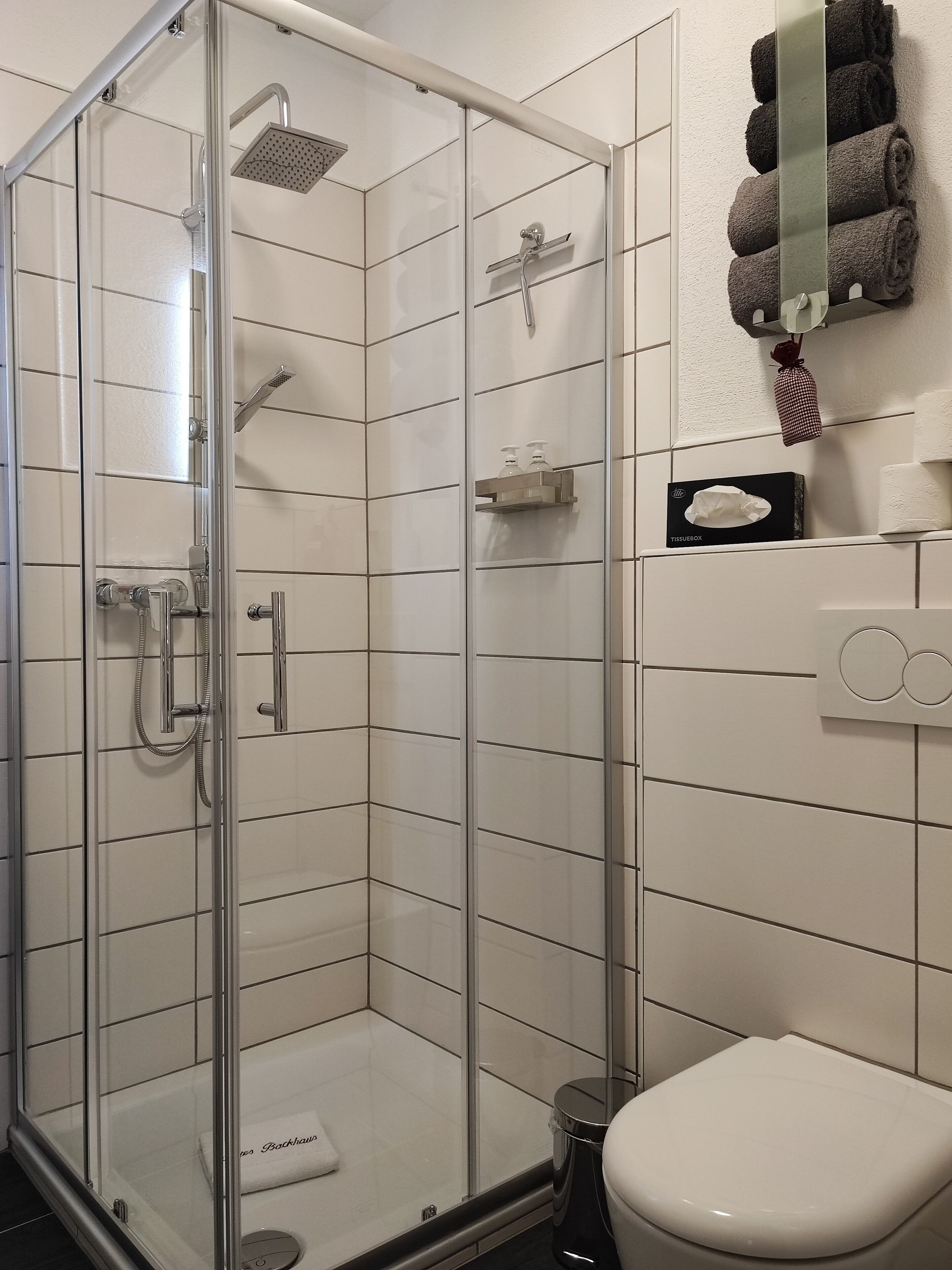 Un baño moderno con ducha de vidrio, inodoro y toallero con toallas dobladas.