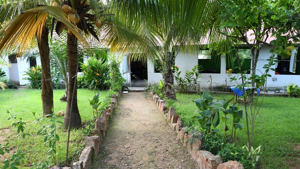 Un sentiero conduce a un edificio circondato da vegetazione lussureggiante e palme.