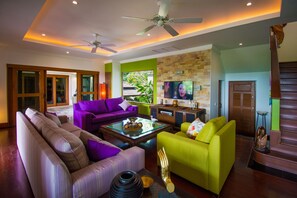 Smart TV, DVD player, books, video library