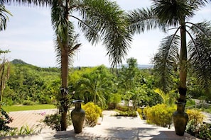 Stroll through a serene garden pathway lined with palm trees and lush greenery, leading to a tranquil hilly landscape.