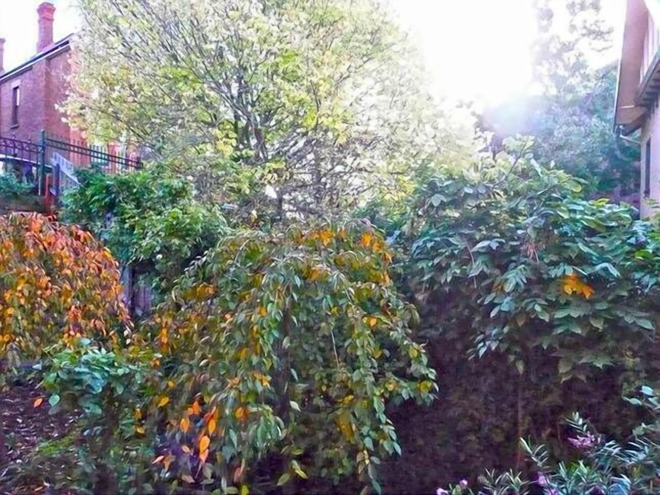 Battery Point Garden Apartments