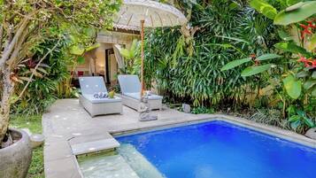 Outdoor pool, sun loungers