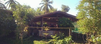 Host family Pai learning nature (free pick up) 