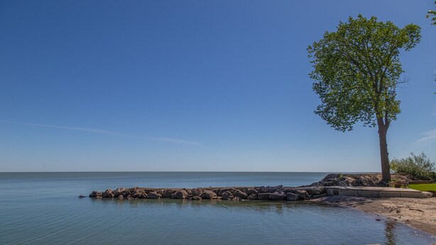 Um lago calmo com margens rochosas e uma única árvore.