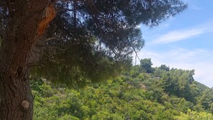 Platja amb aigües turqueses cristal·lines, envoltada de vegetació exuberant i terreny rocos.