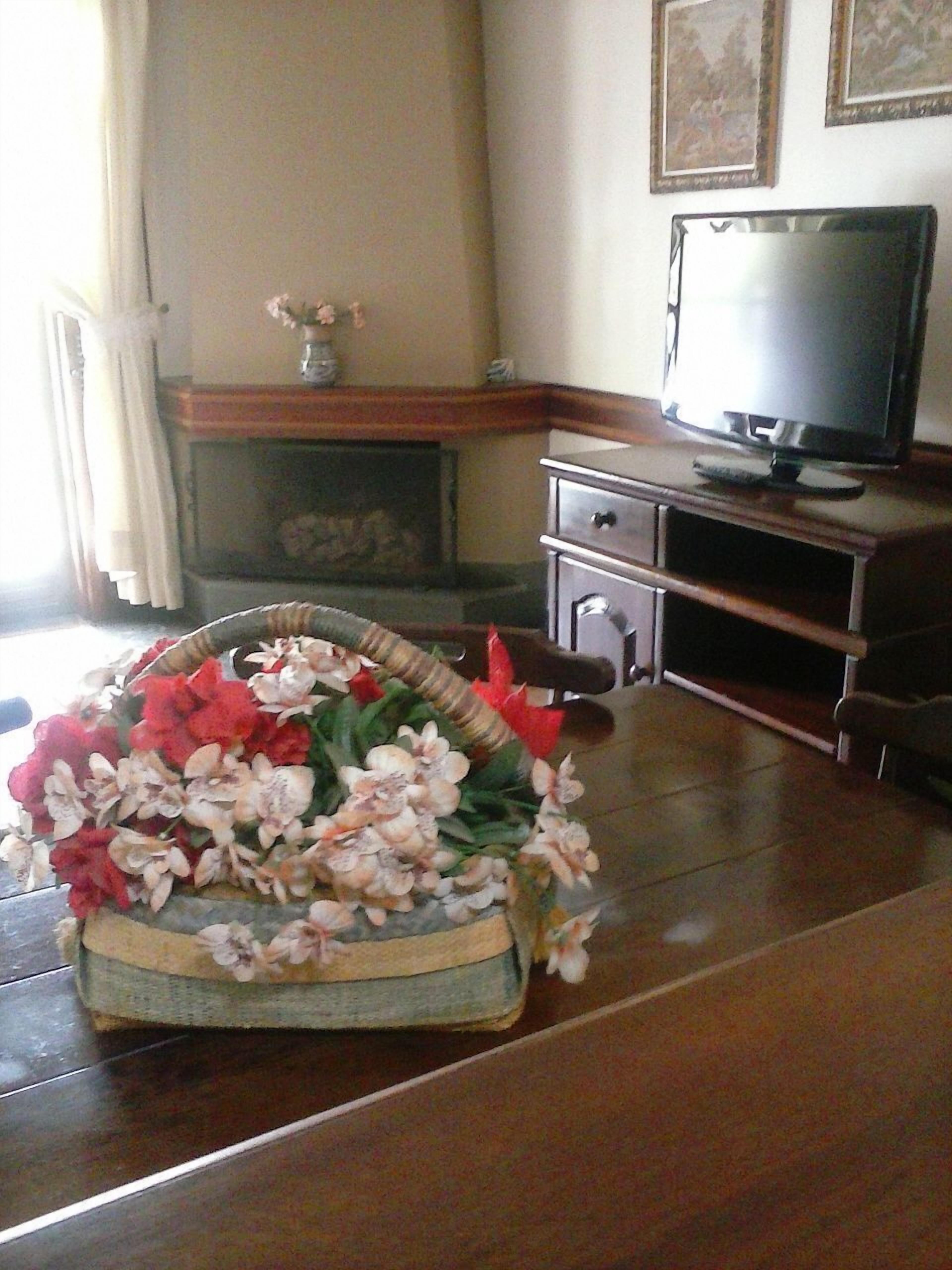 Cozy flat on the mountain within a Castle with all infrastructure. 