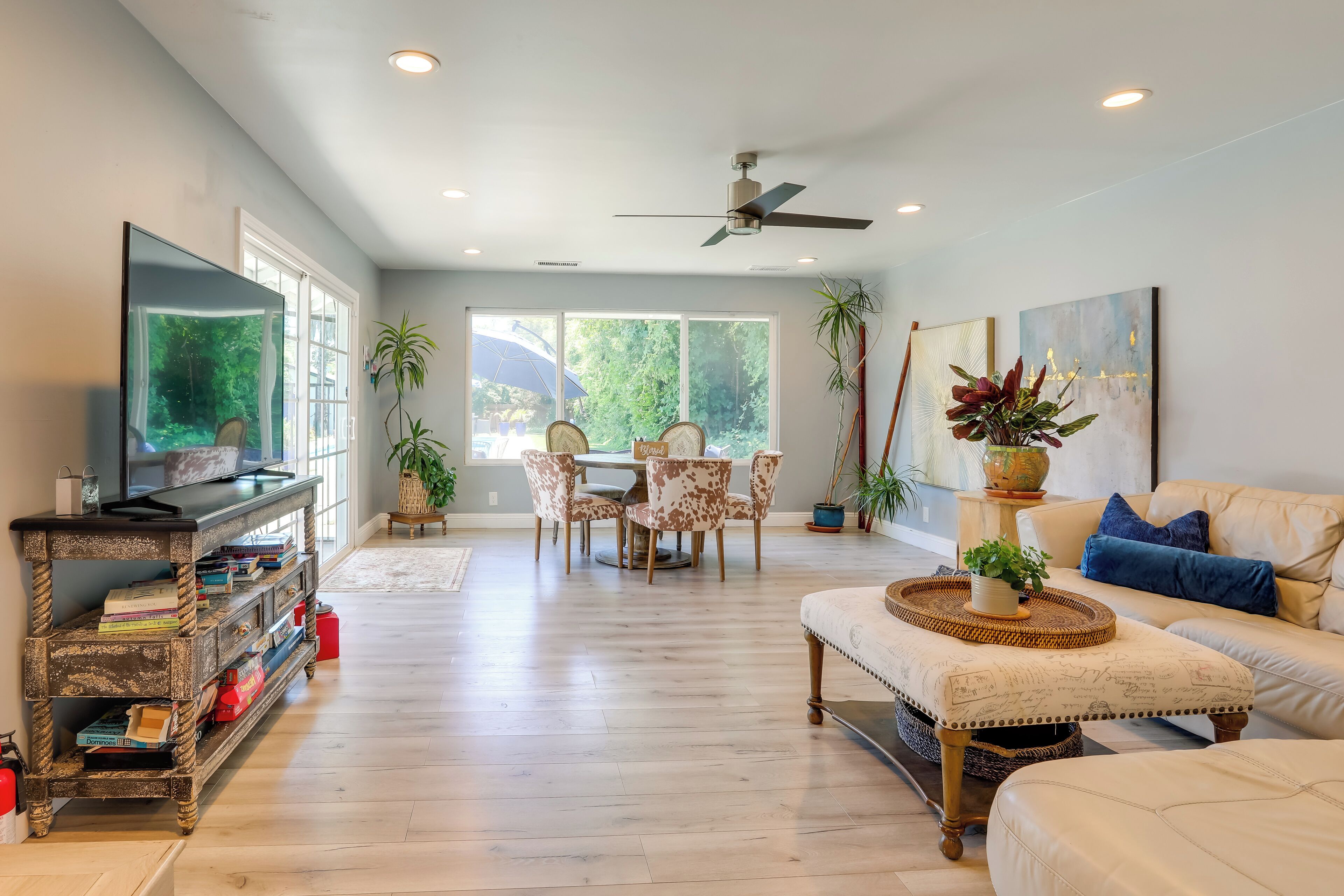 TV, fireplace, books