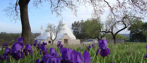 Terrain de lâhĂ©bergement