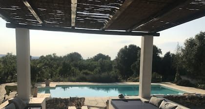 Beau trullo en haut dâune colline, piscine, A/C, au milieu d'amandiers/oliviers