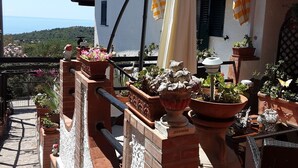 Una terraza con plantas en macetas, una mesa y vista al mar.