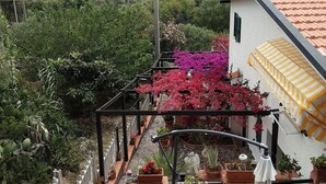 Una terraza con plantas en macetas y vista al mar.